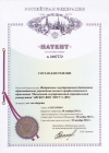 Composition for decoration (RU Patent 2497772)